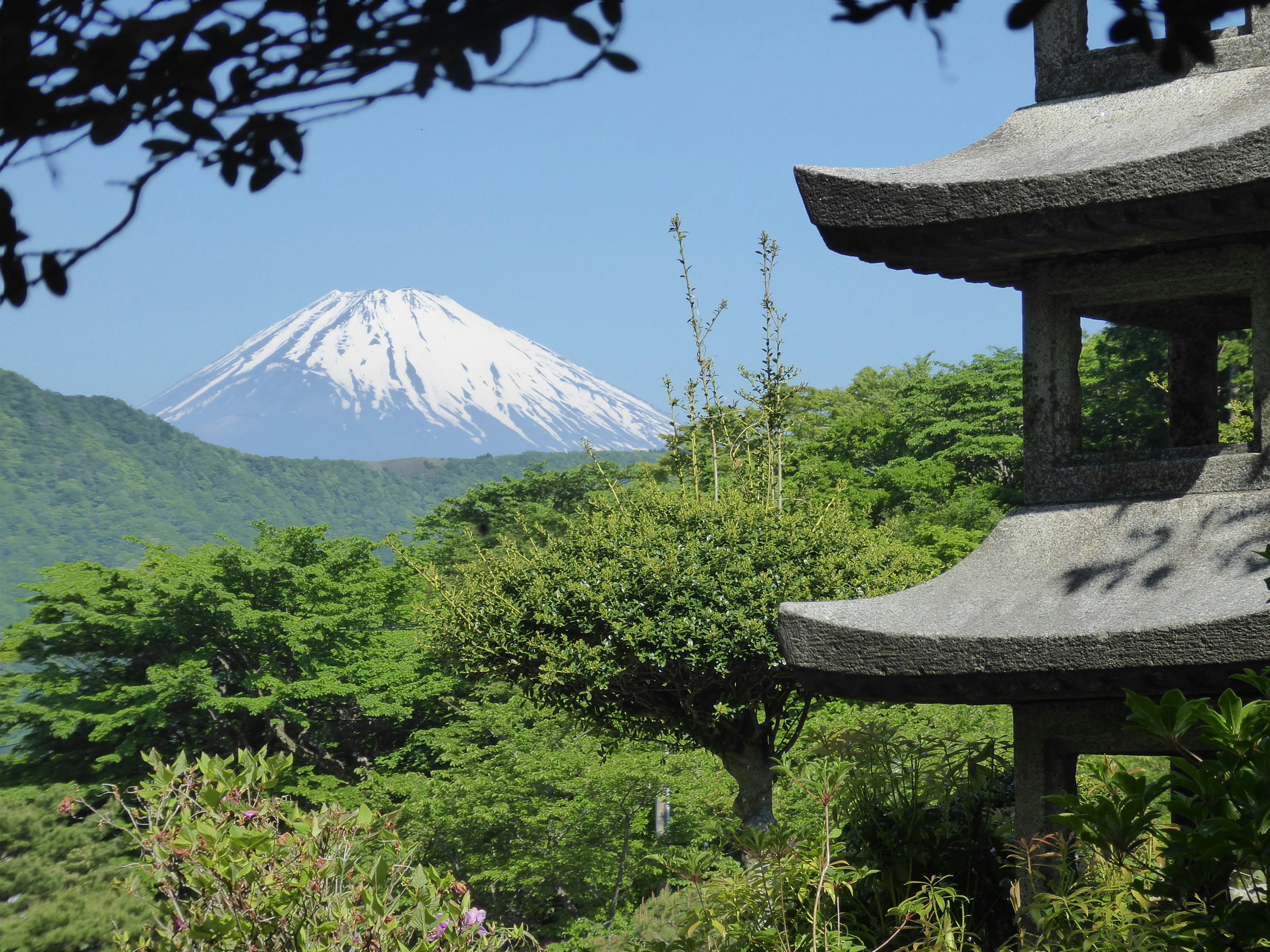 green trees near mountain during daytime