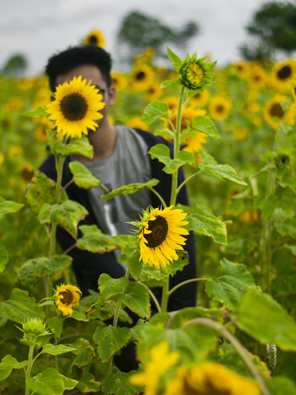 man in black jacket standing on sunflower field during daytime