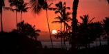 A vibrant sunset over a calm tropical beach with silhouettes of palm trees.