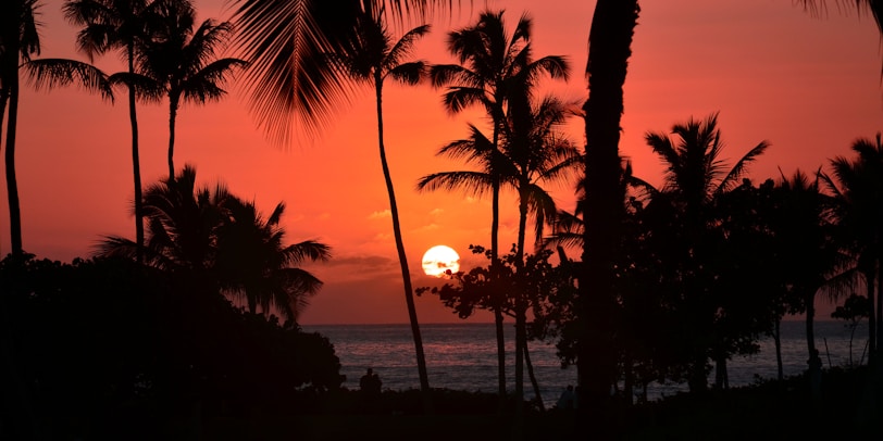 A vibrant sunset over a calm tropical beach with silhouettes of palm trees.