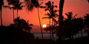A vibrant sunset over a tropical beach with palm trees swaying gently.