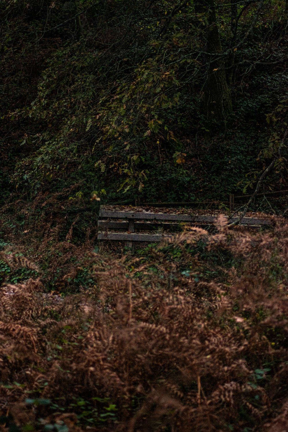 brown wooden bench on brown grass field