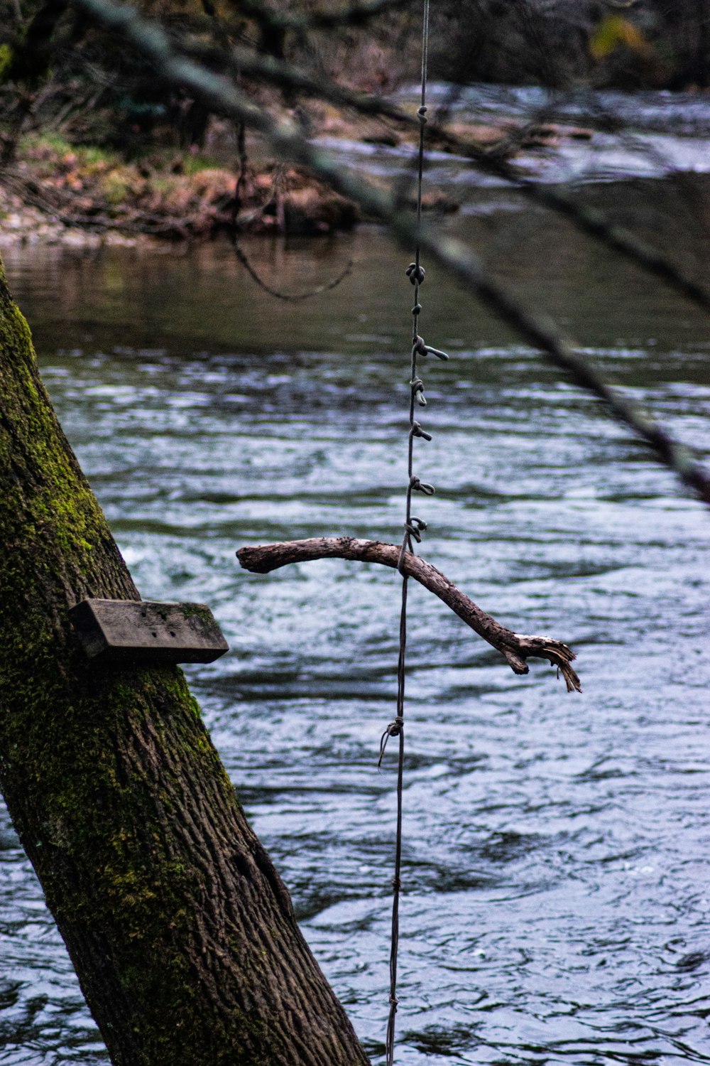 brown wooden stand on brown wooden log on lake