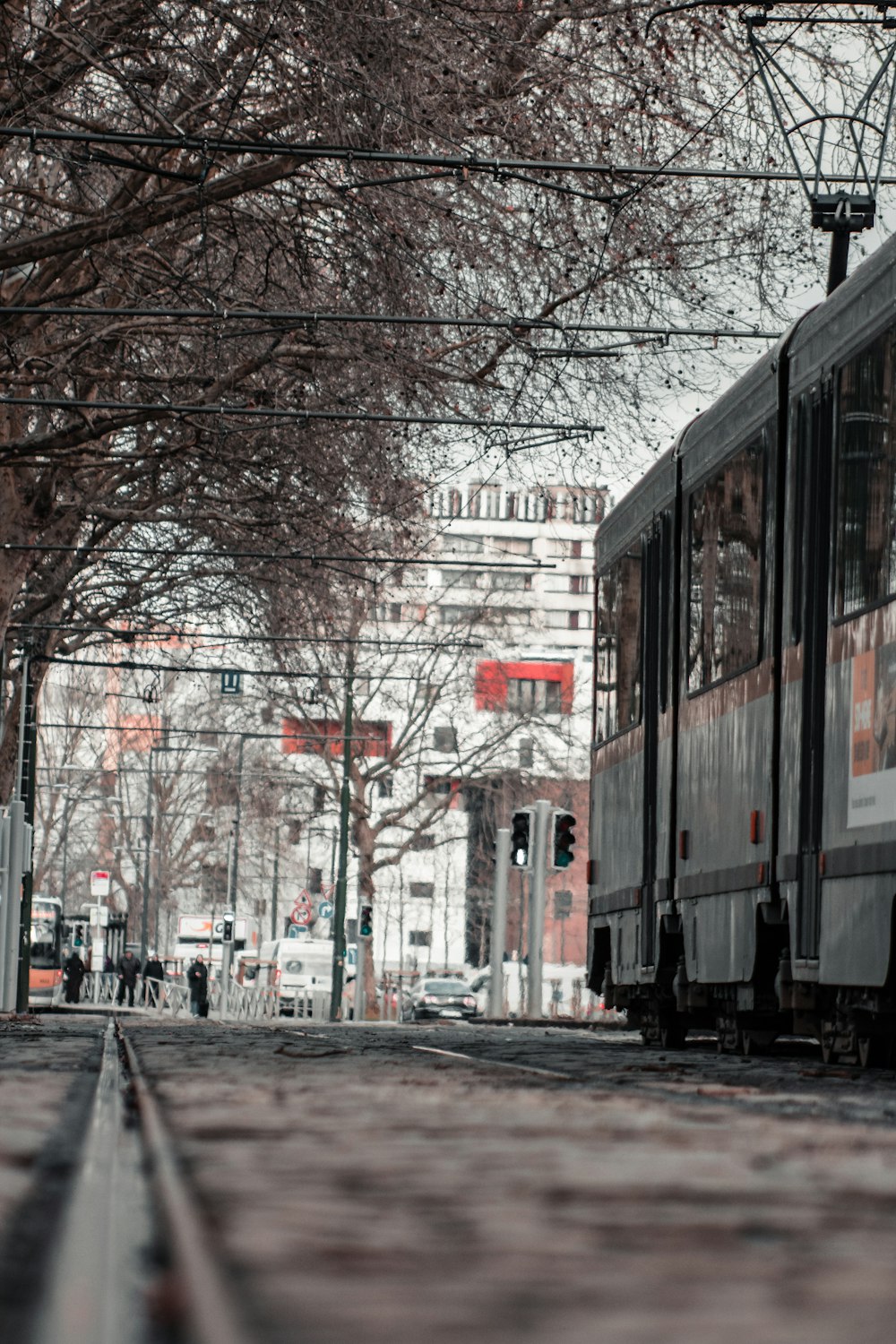 white and red train near bare trees during daytime