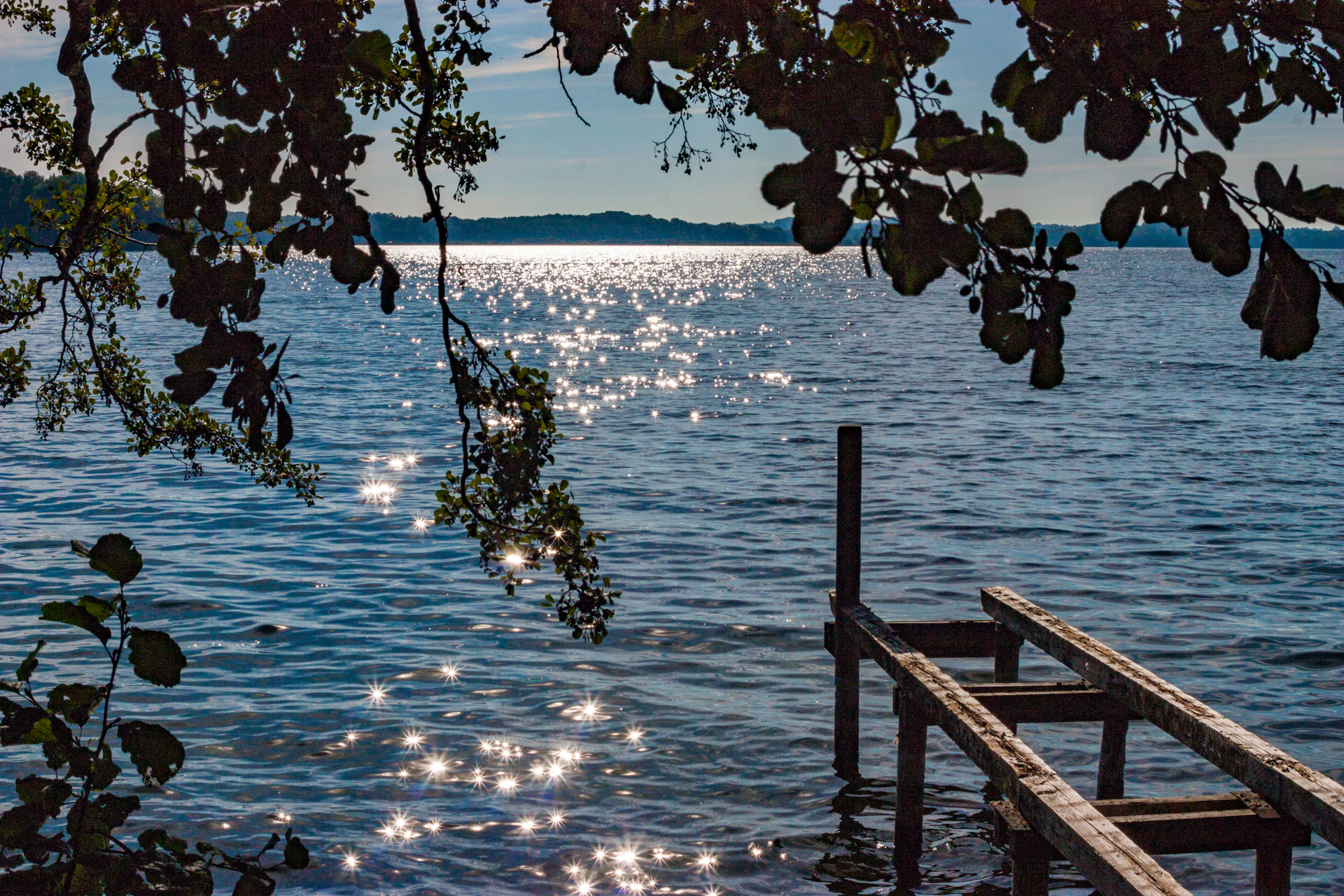 brown wooden dock on sea during daytime