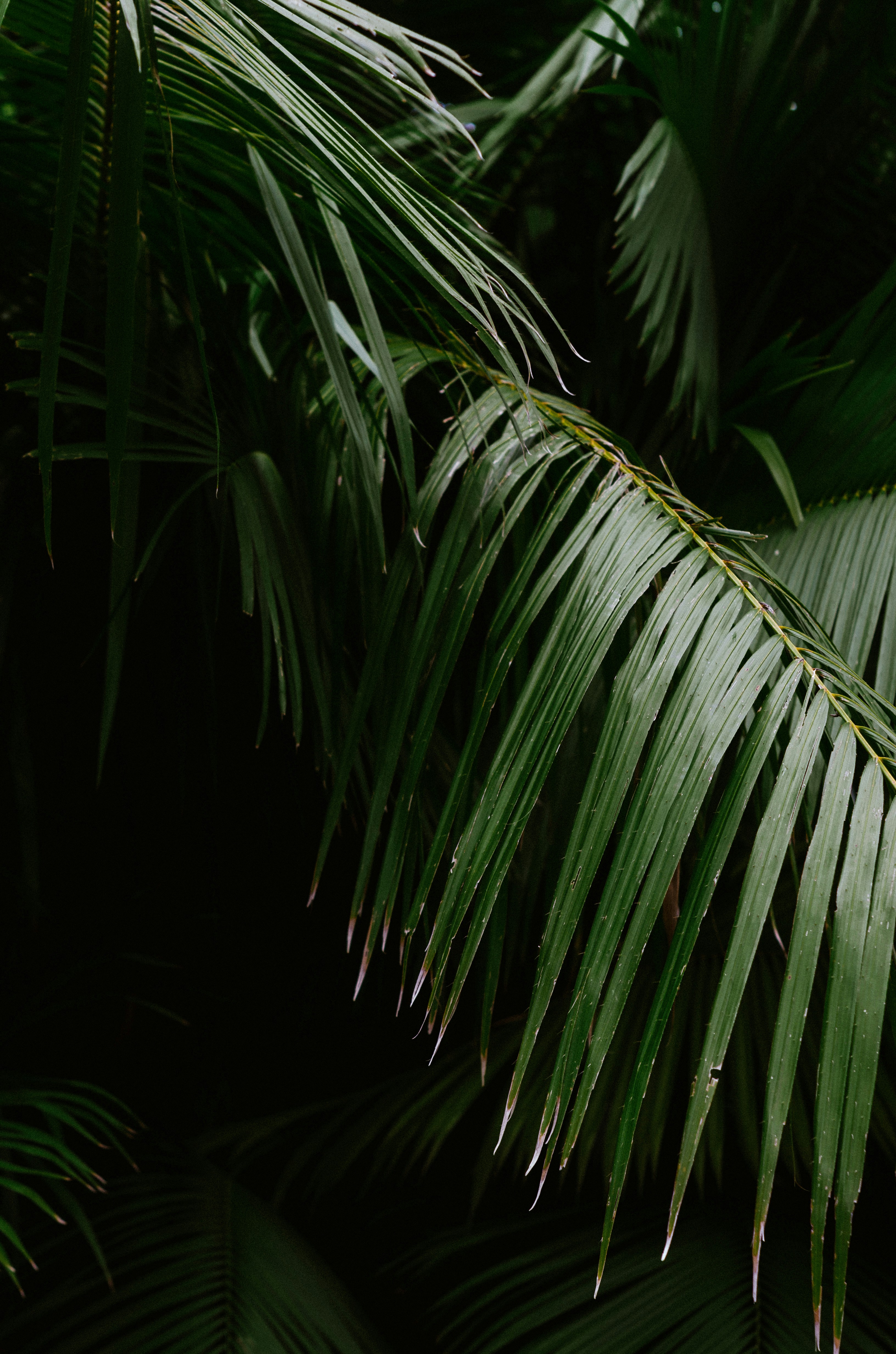 Photo by visualsbysaf