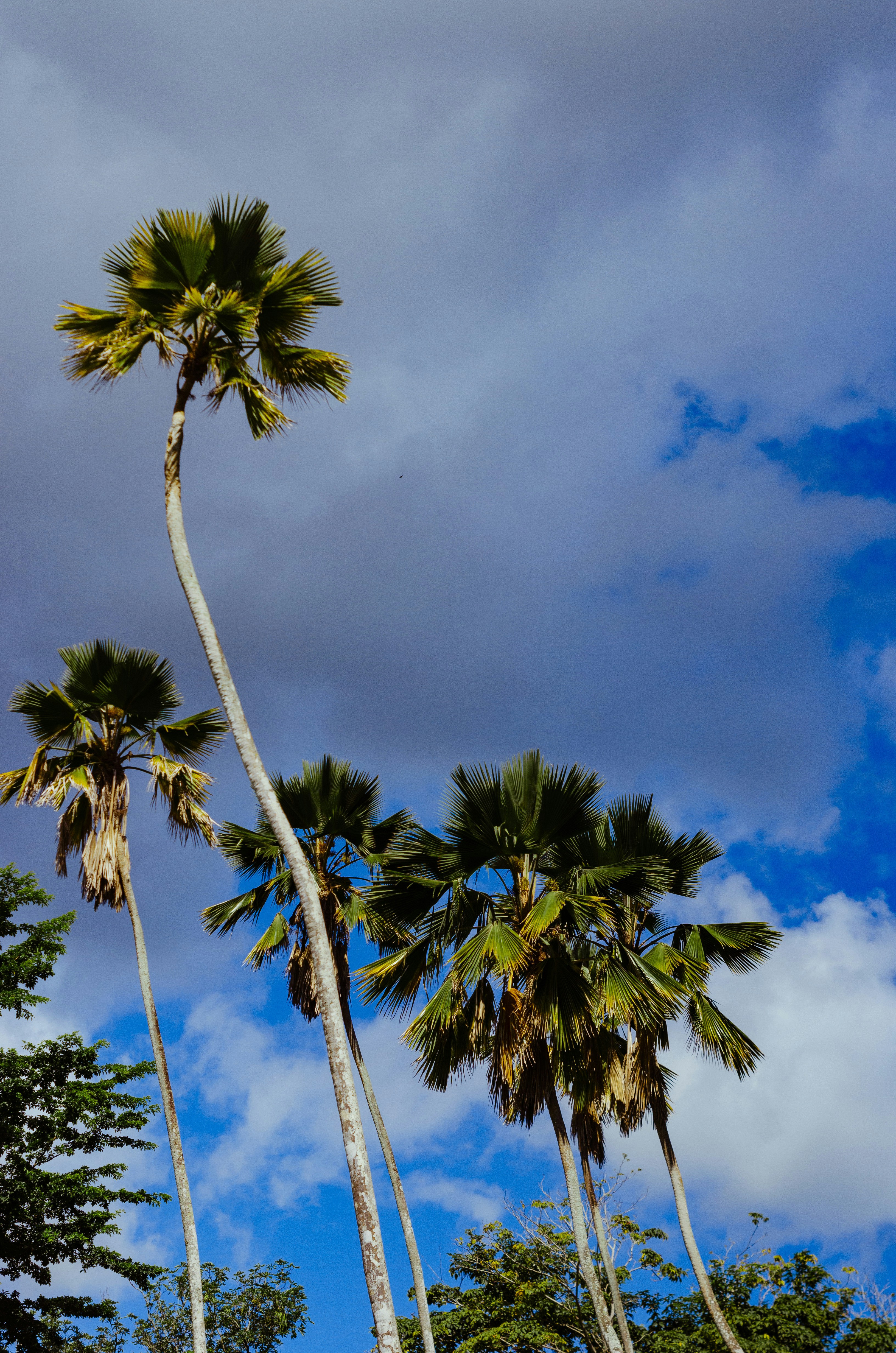 Photo by visualsbysaf