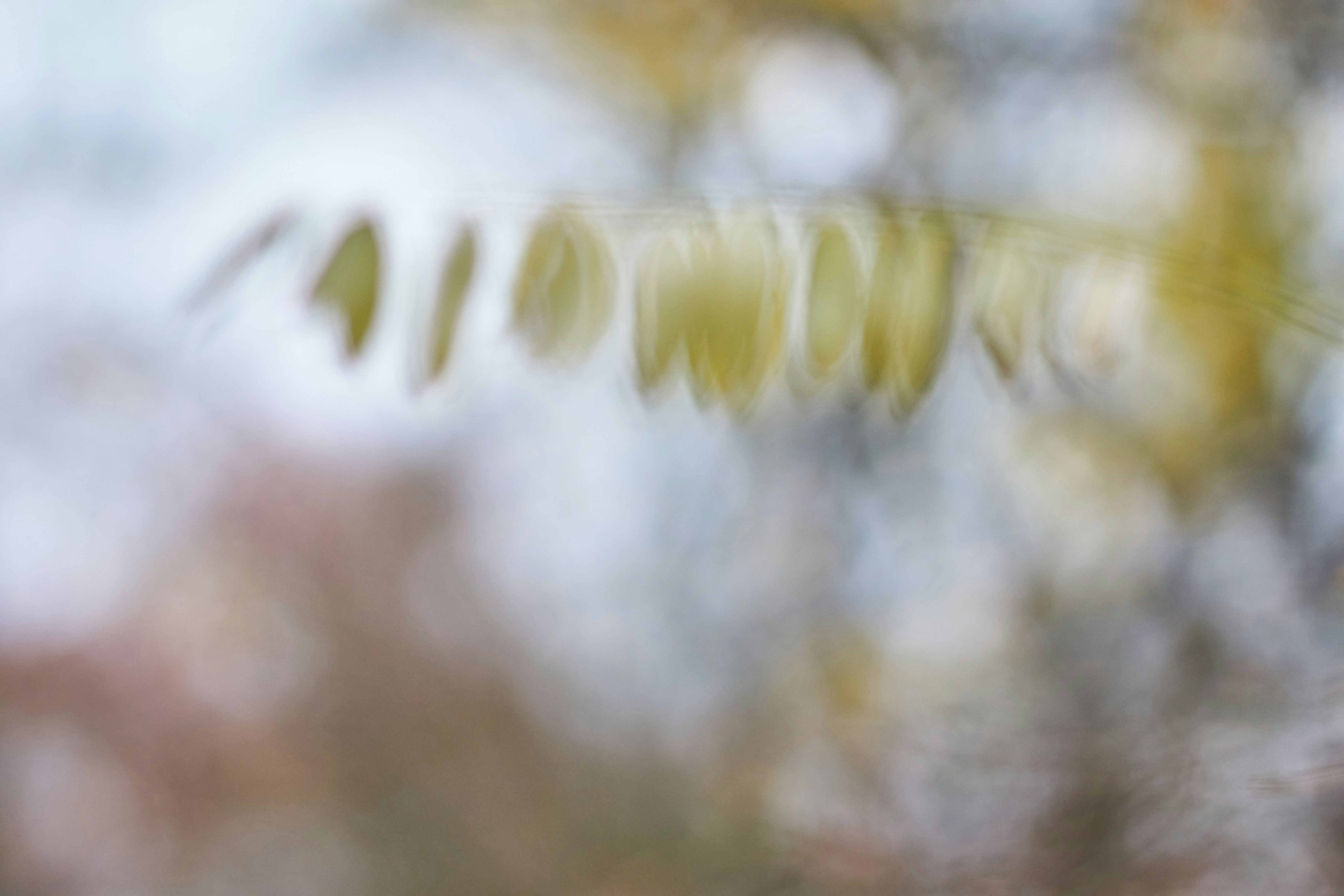 Photo by wolfgang_hasselmann