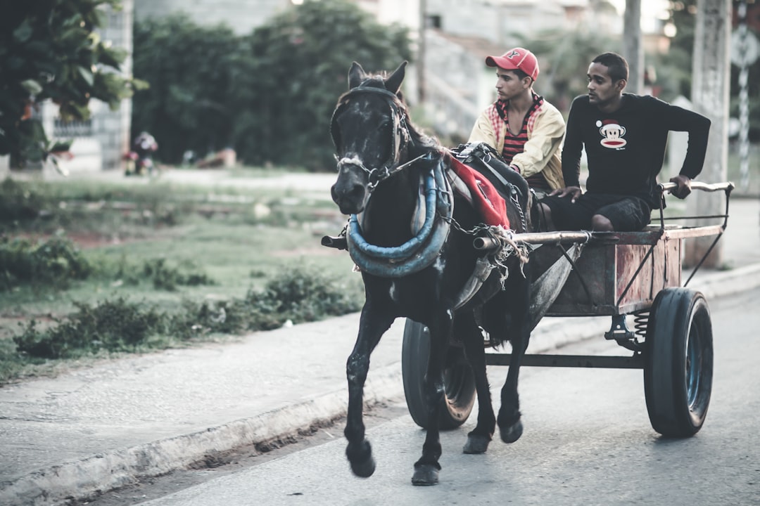 2 men riding on black horse during daytime