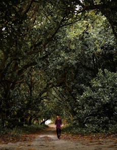 woman in red dress walking on pathway between green trees during daytime