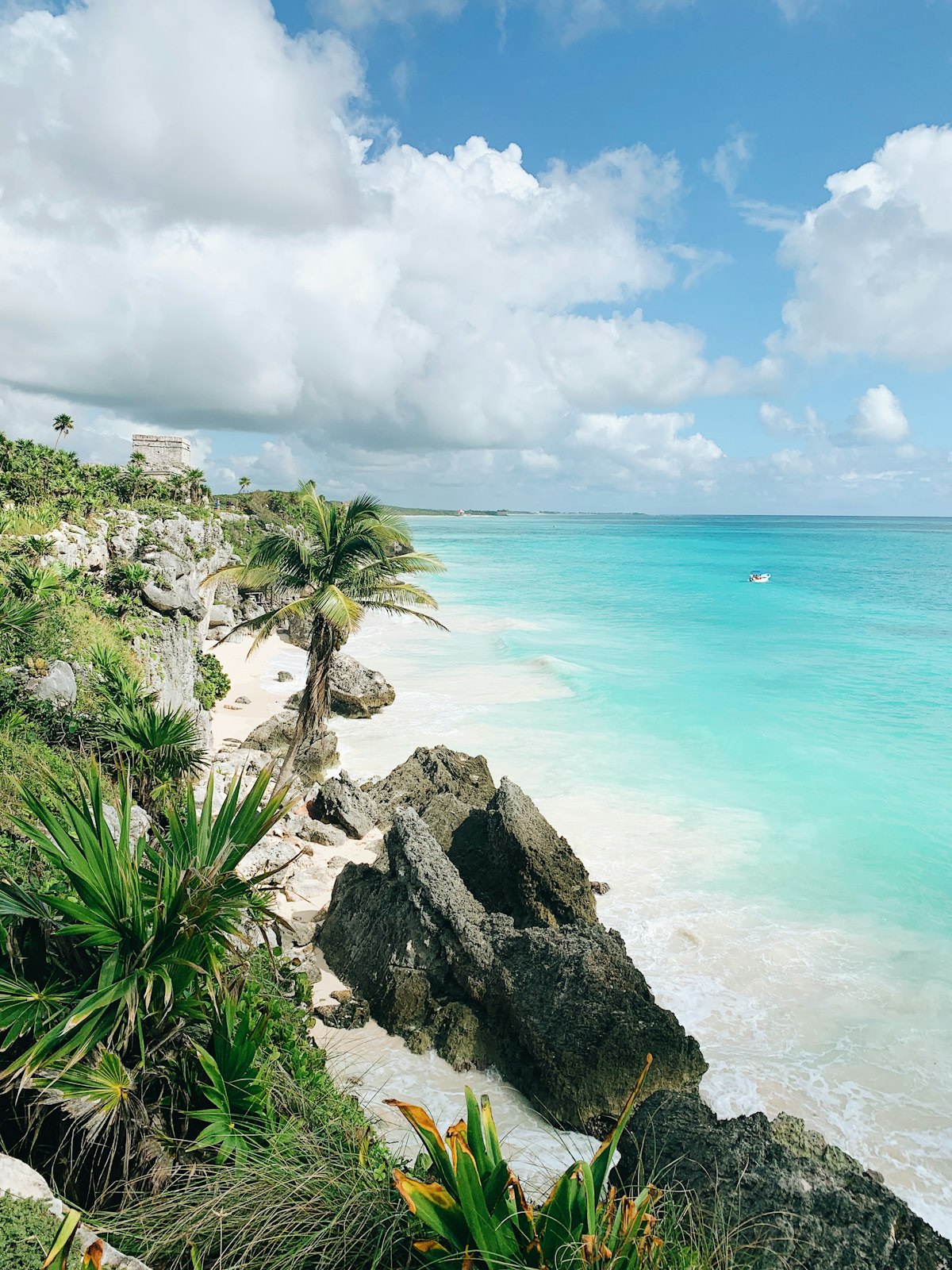 Palme tropicali sulle acque turchesi del Mar dei Caraibi a Cancun, Messico
