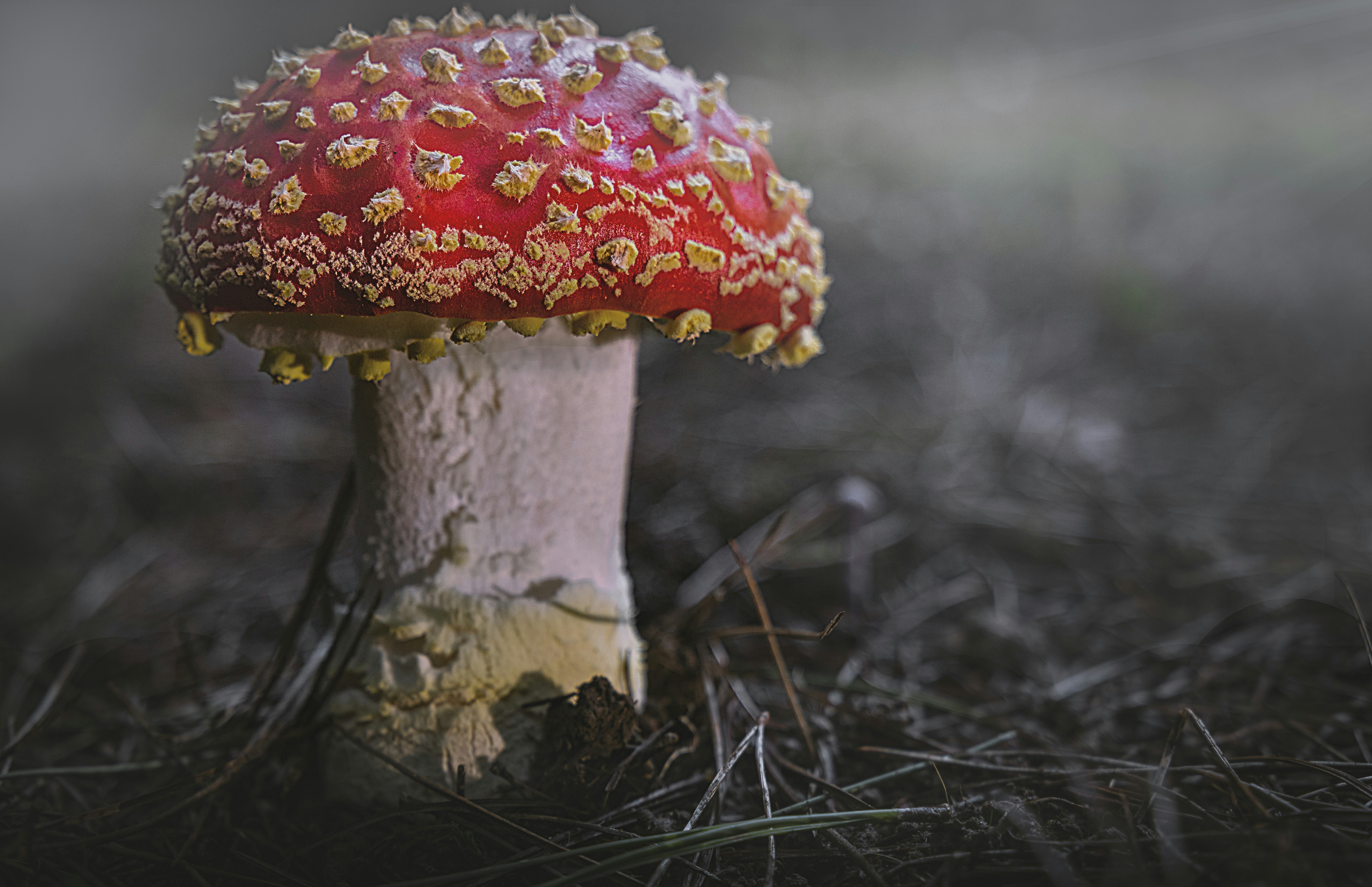 Photo by arizonanthony