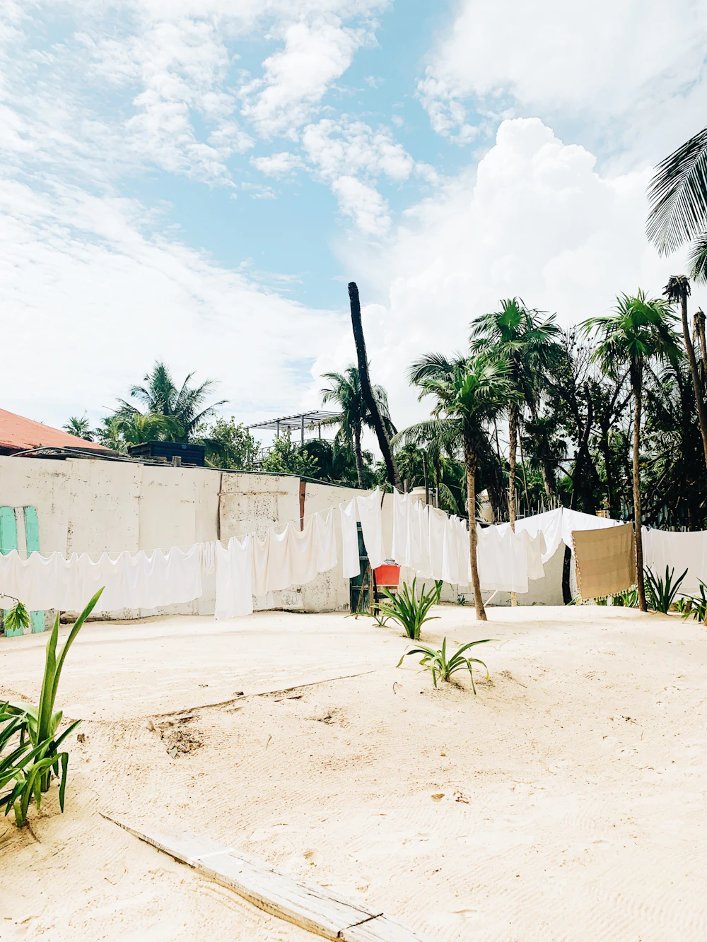 Tulum white-sand beach with palms and Caribbean blue sea