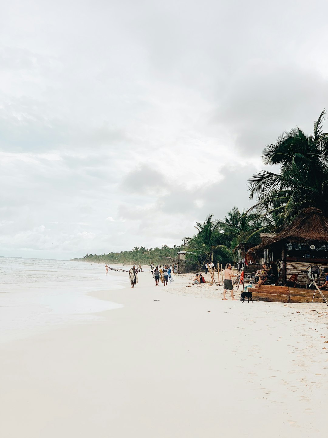 people on beach during daytime