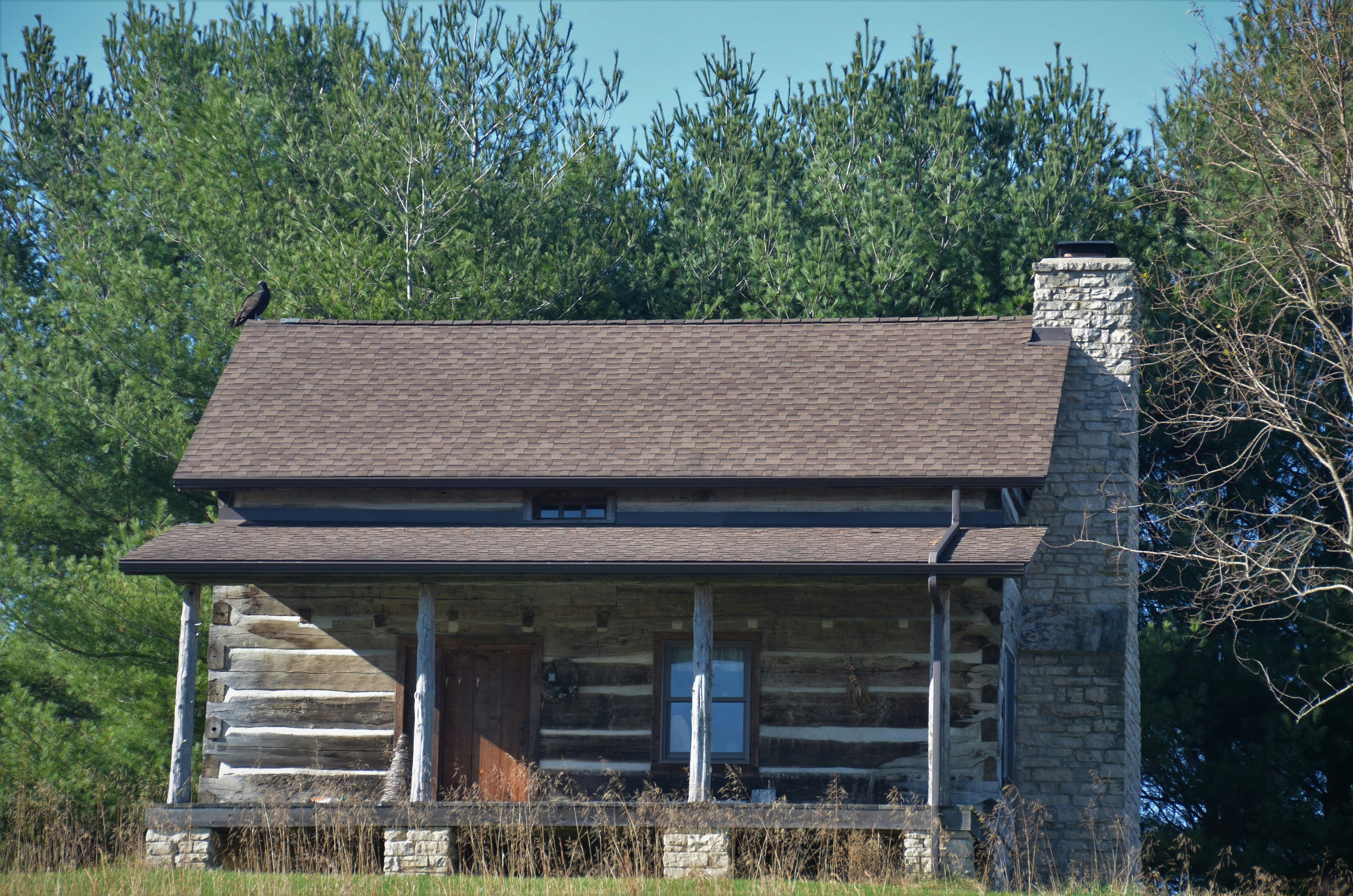 brown and gray wooden house near green trees during daytime log cabin teams background