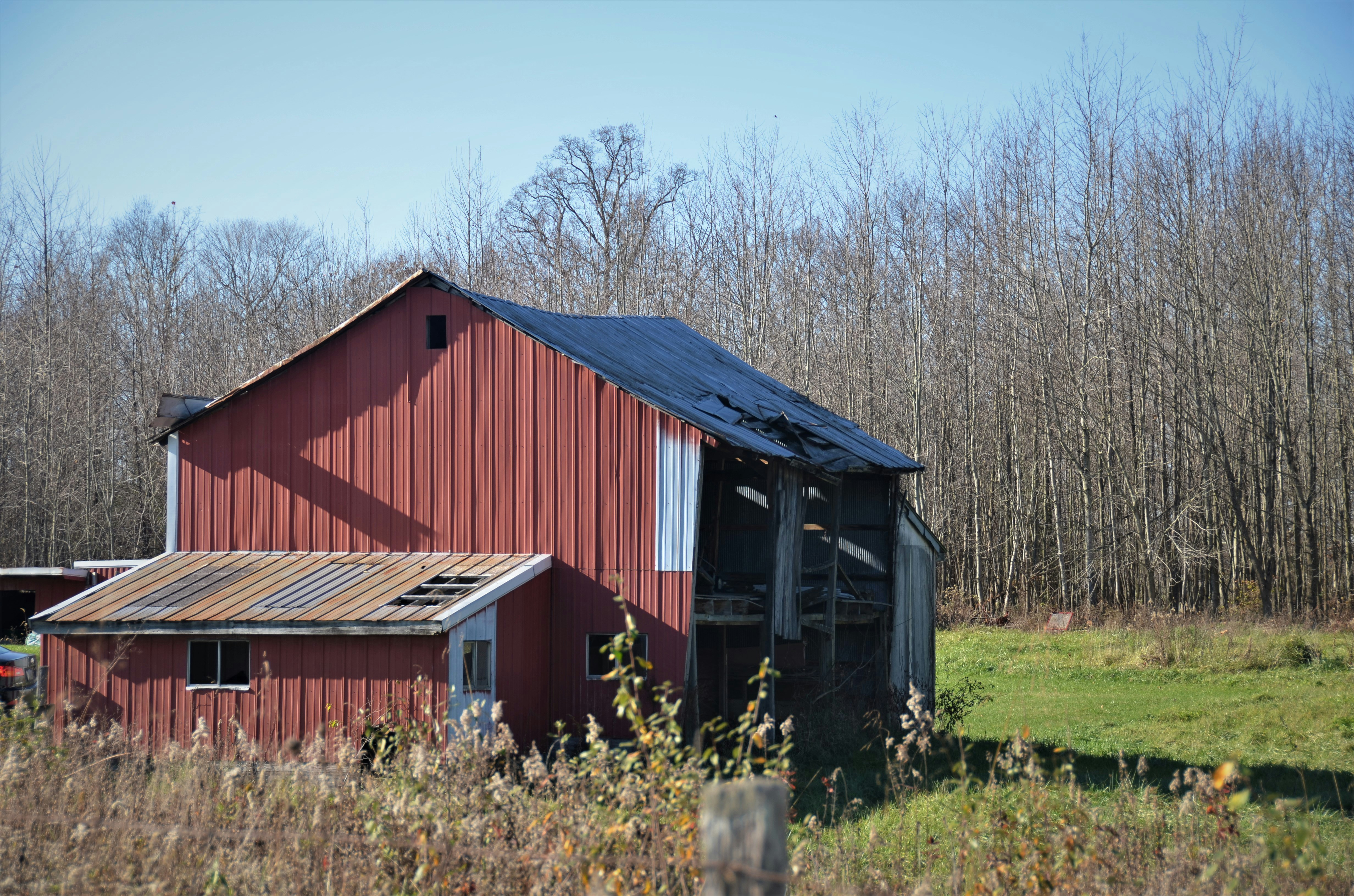 How to Build a Permanent Off-Grid Cabin on a Budget: A Step-by-Step Blueprint