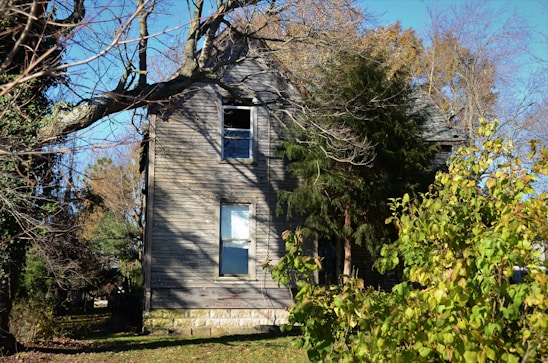 A cozy, weathered house with a 'For Auction' sign in front, bathed in warm afternoon light.