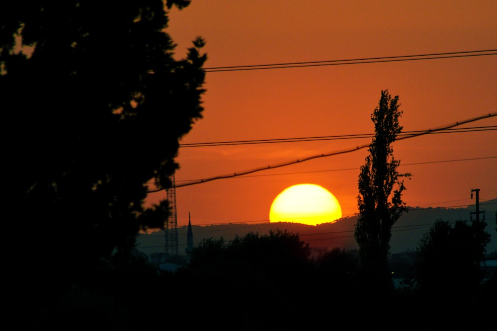 silhouette d’arbres au coucher du soleil