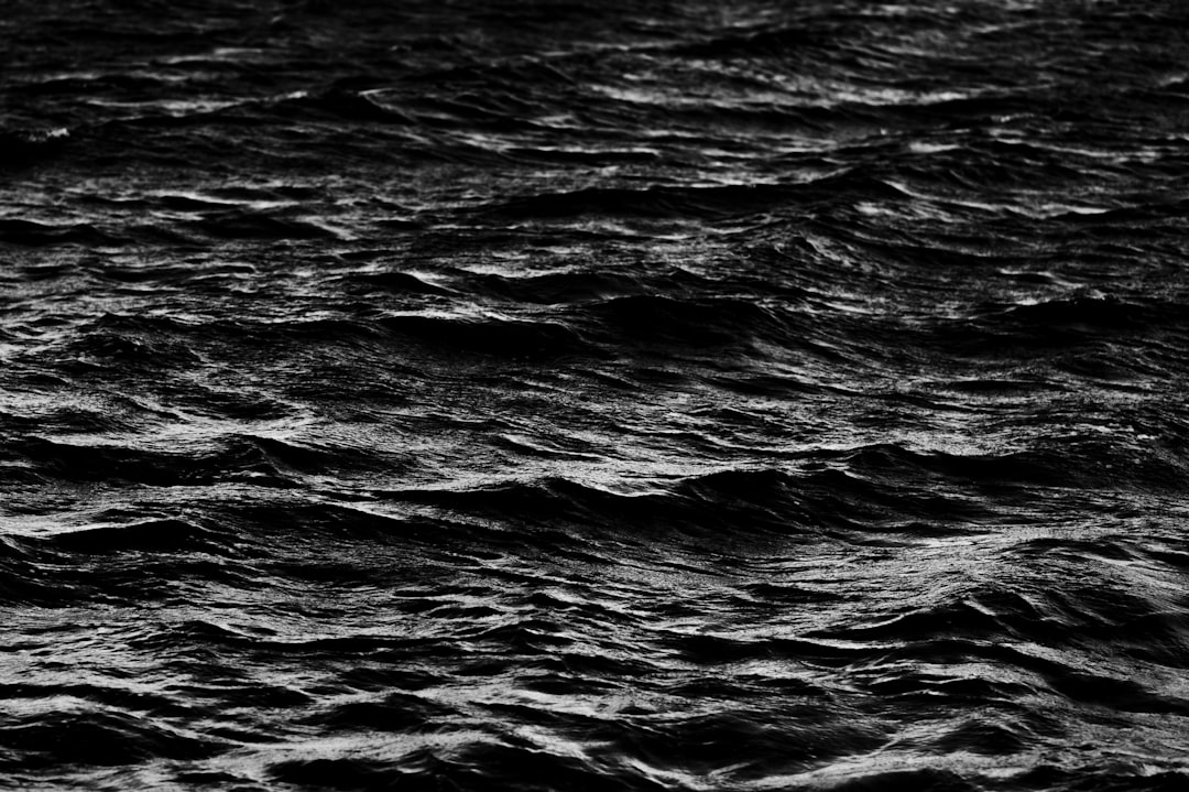 grayscale photo of body of water