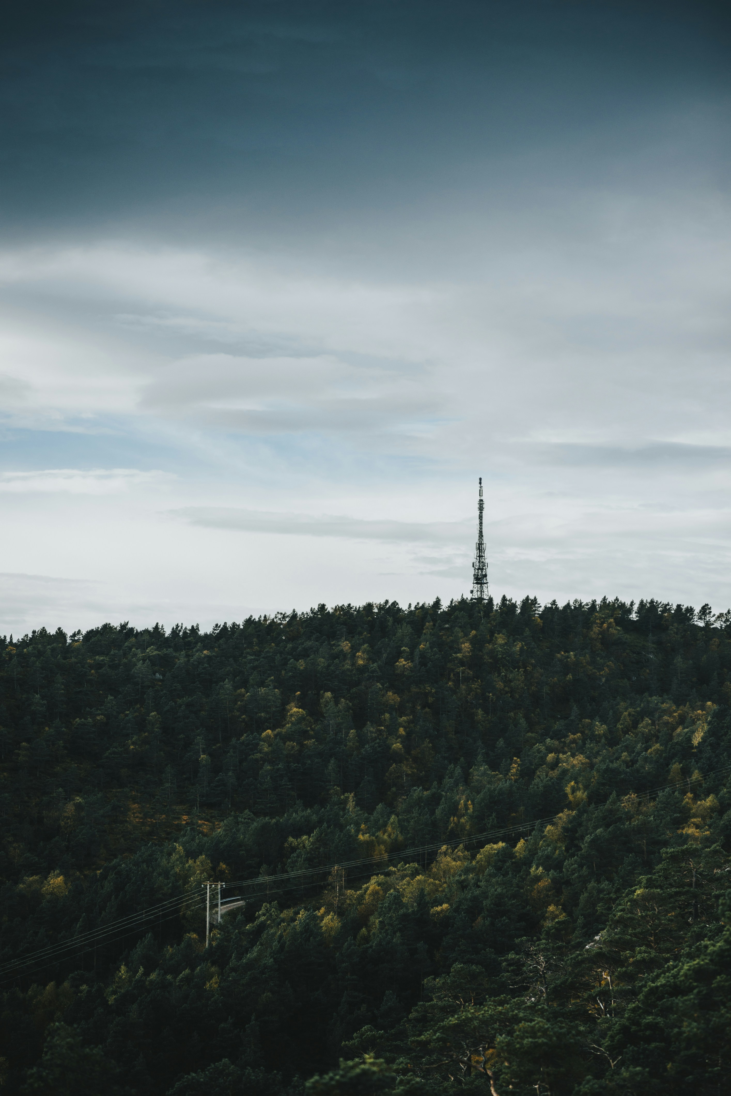 green trees under white clouds during daytime