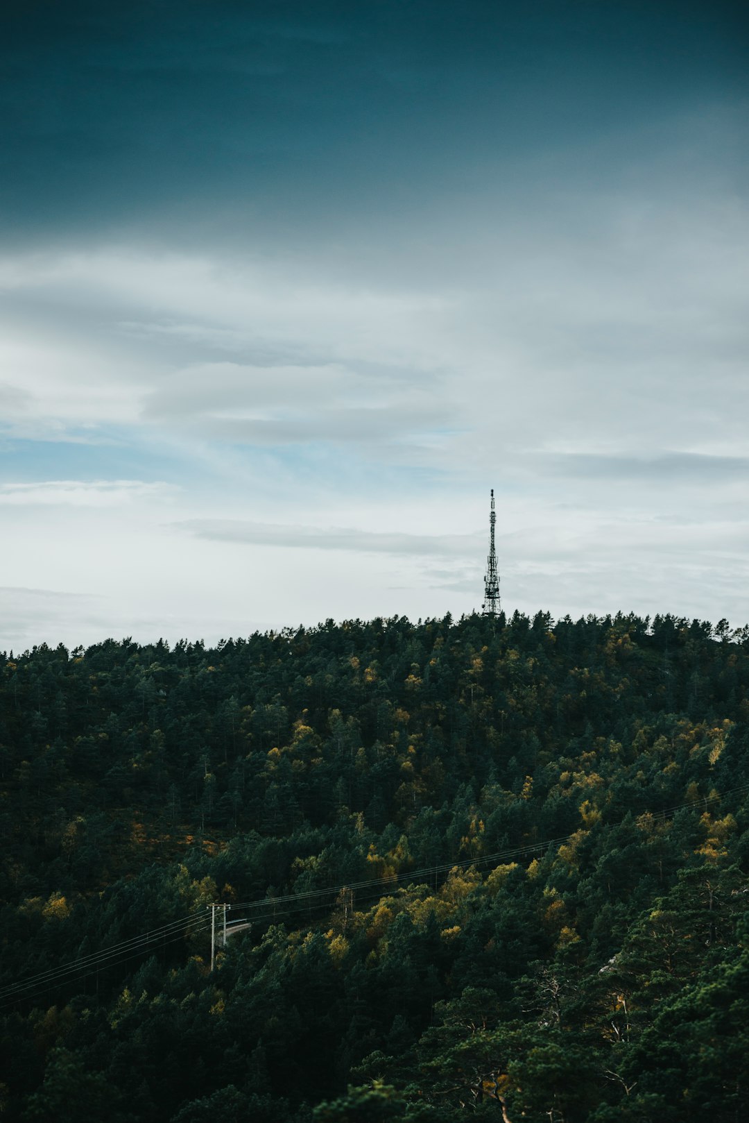 green trees under white clouds during daytime