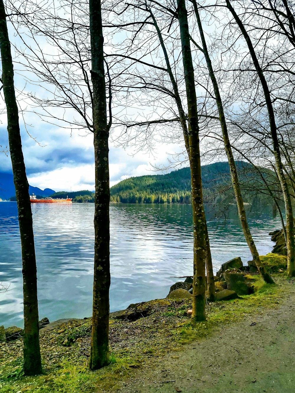 body of water near green trees during daytime