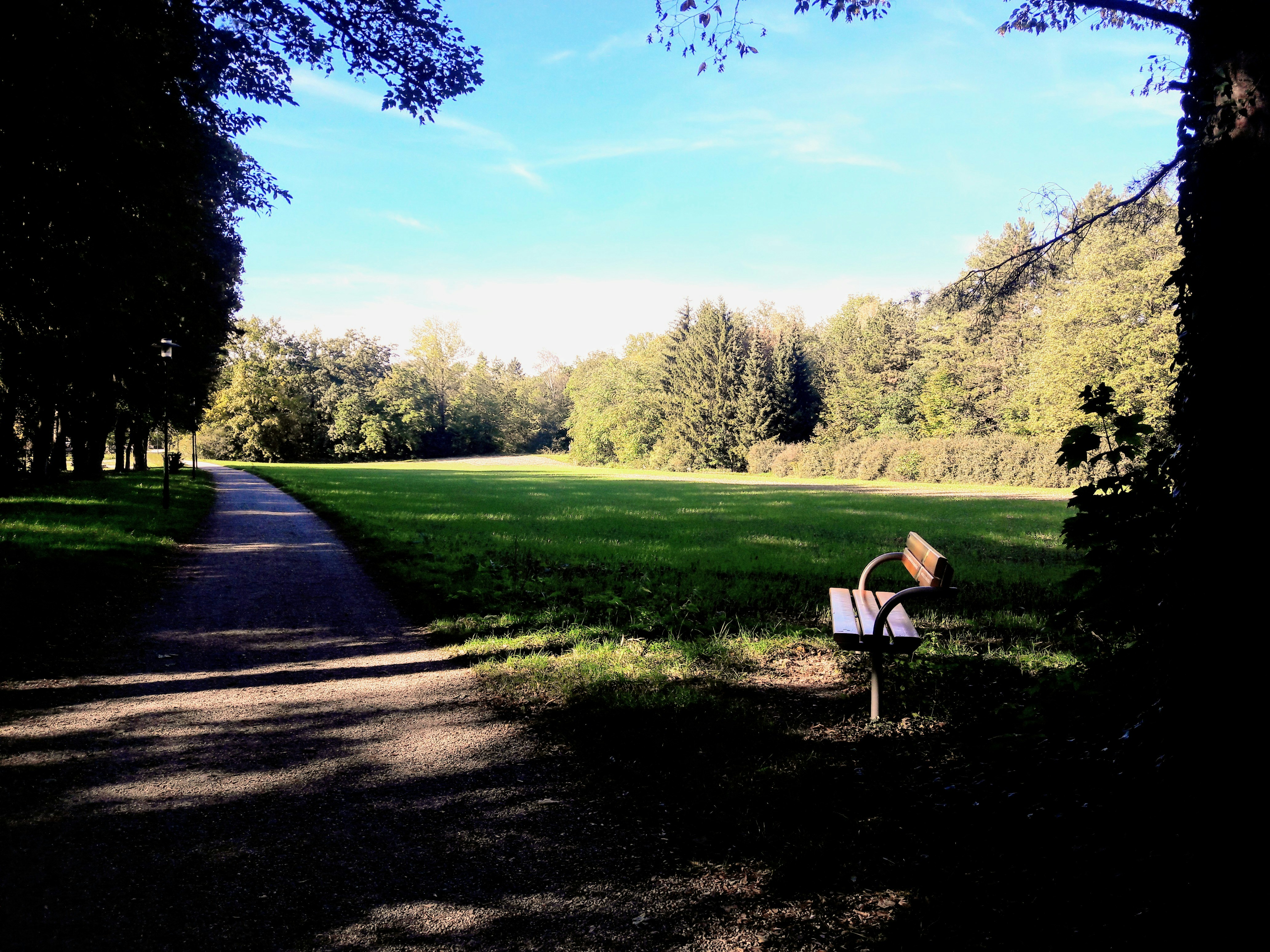woman in white shirt sitting on bench on green grass field during daytime oberösterreich teams background