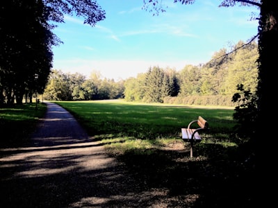 woman in white shirt sitting on bench on green grass field during daytime oberösterreich google meet background