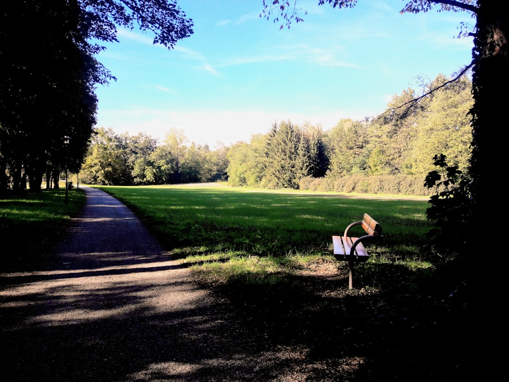 woman in white shirt sitting on bench on green grass field during daytime