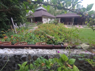 A beautifully landscaped home garden with vibrant greenery and flowers.