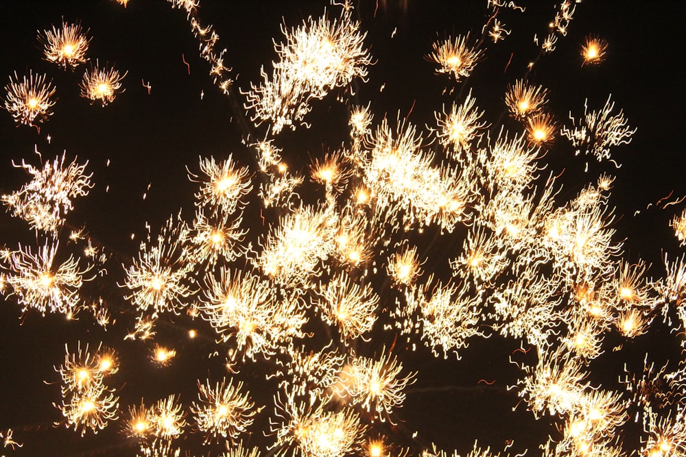 white fireworks display during night time