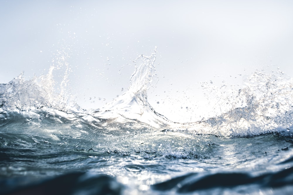 salpicaduras de agua en la fotografía de primer plano