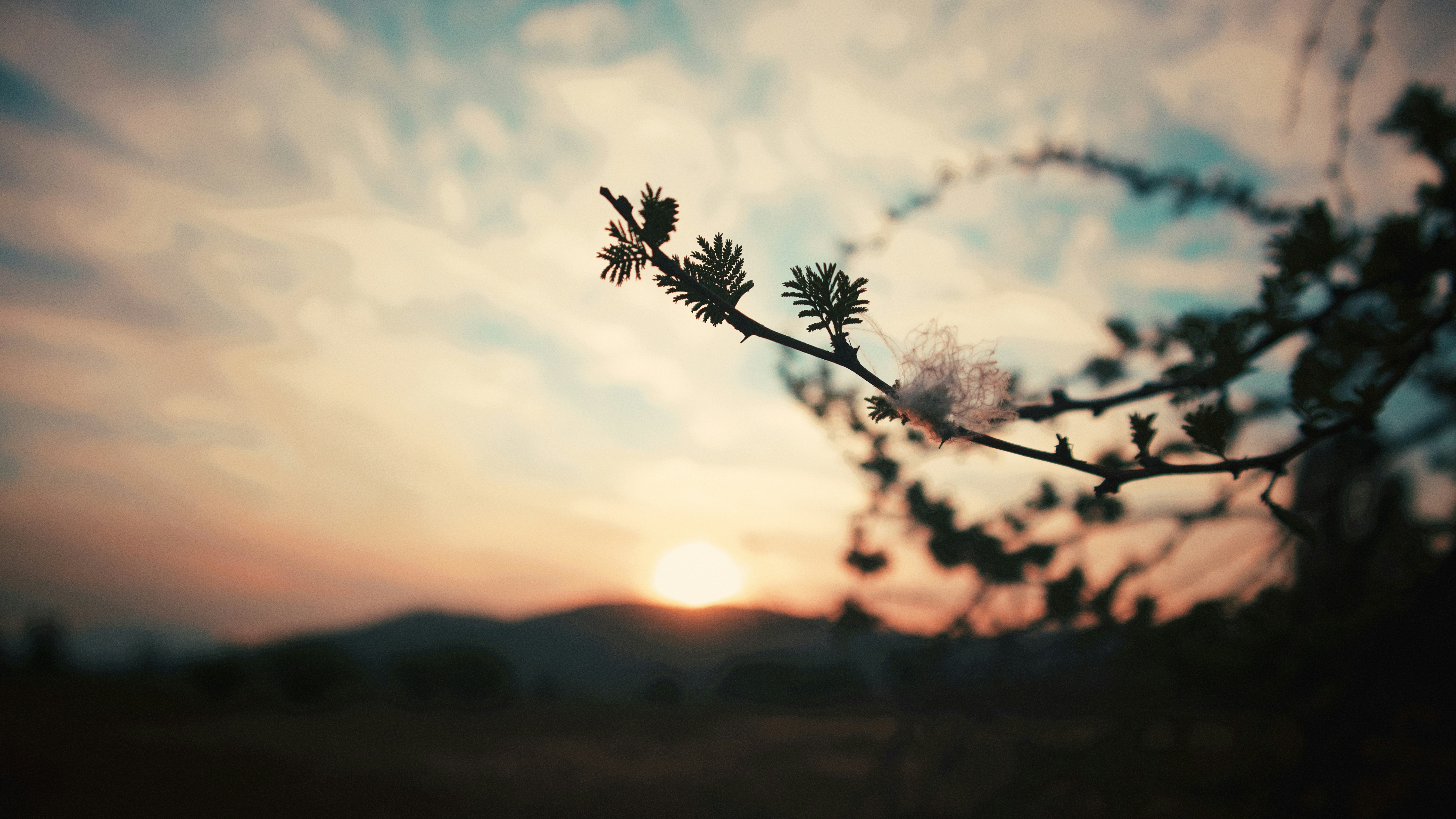 Photo by diegoignacious_cl