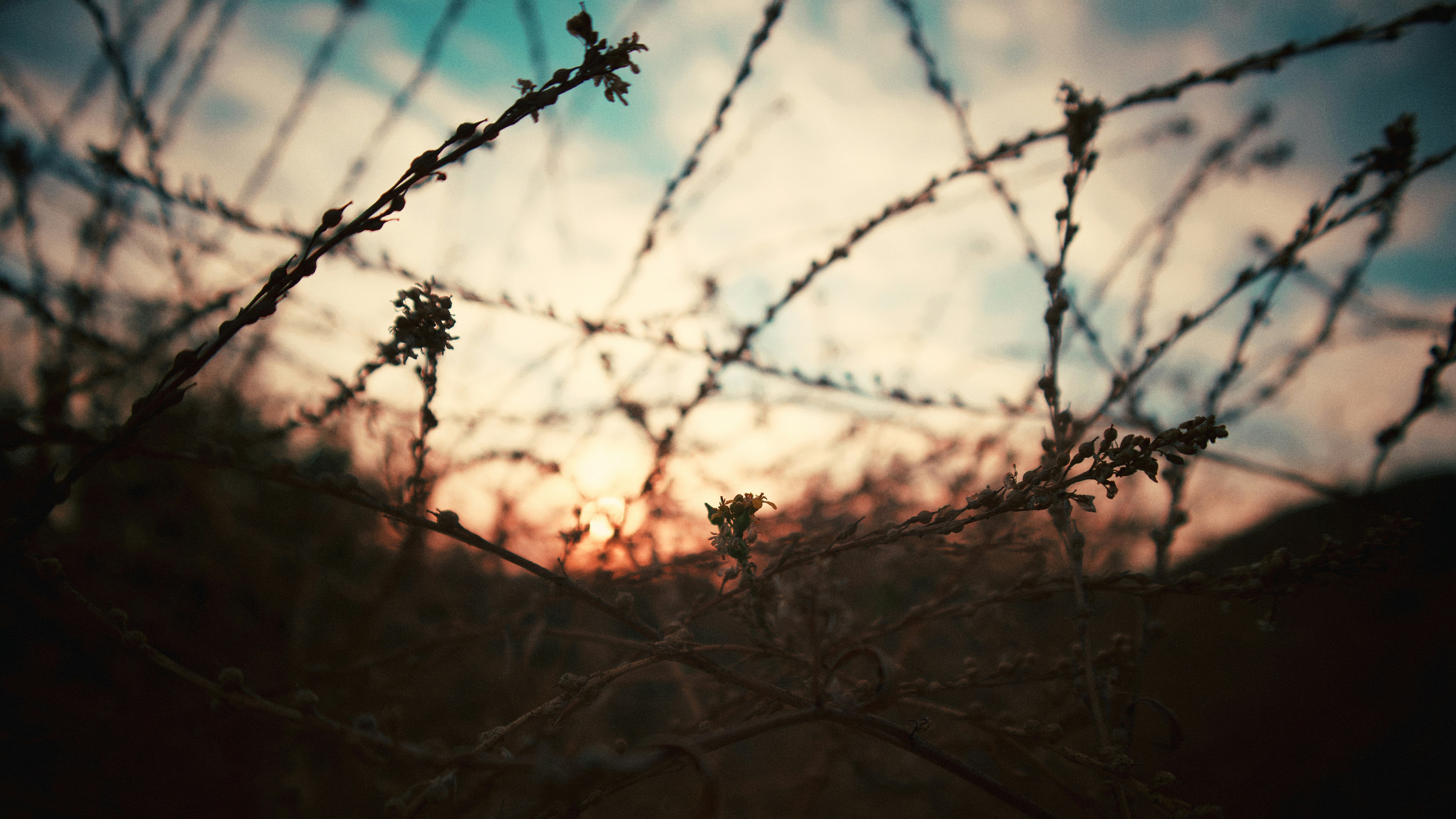 Photo by diegoignacious_cl