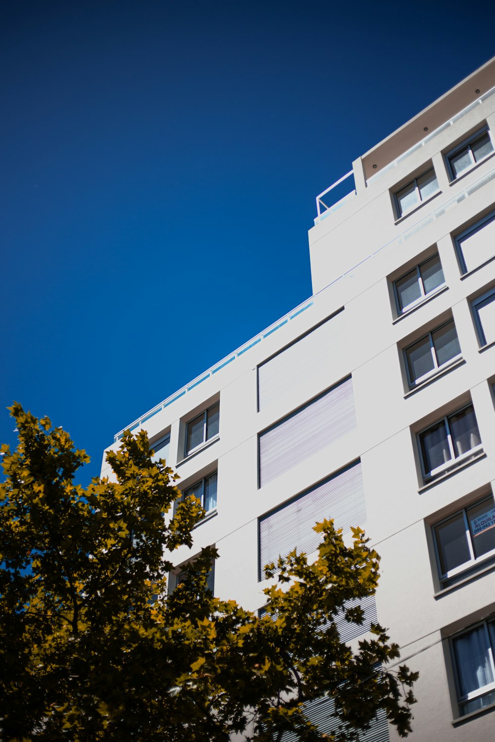 edifício de concreto branco sob o céu azul durante o dia