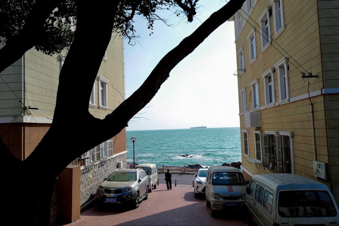 cars parked beside the road near the beach during daytime