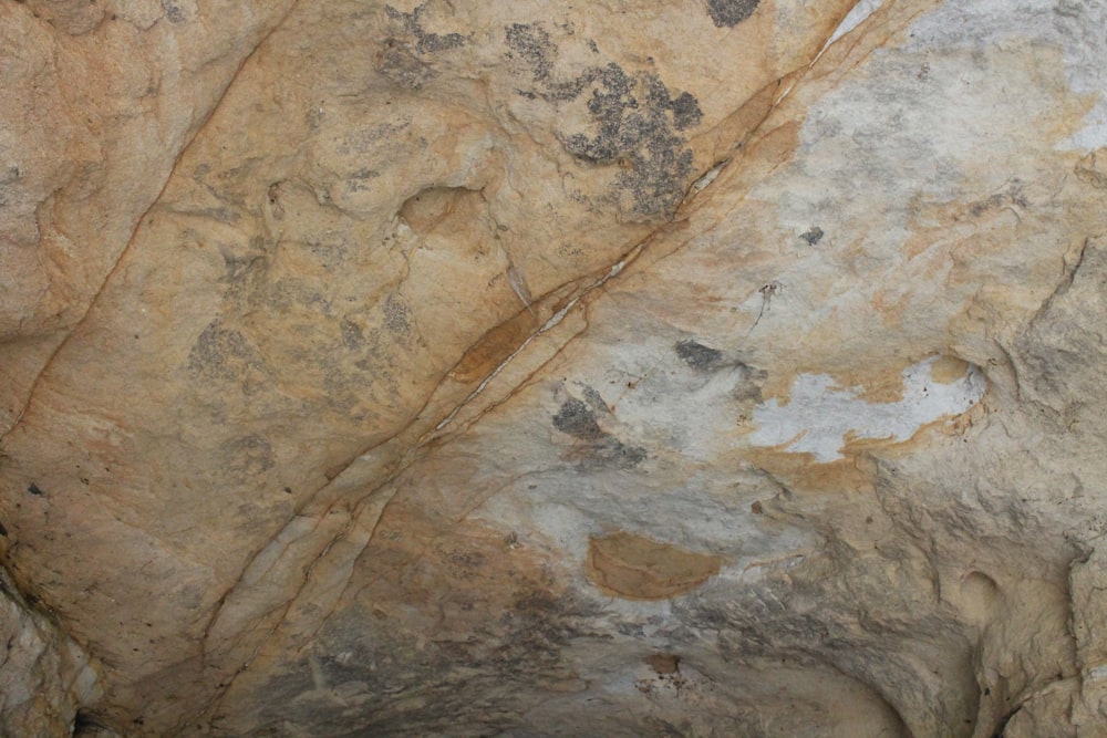 brown and white rock formation