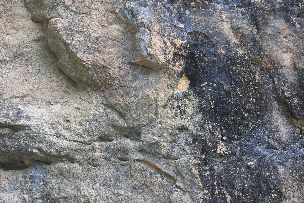 gray and black rock formation