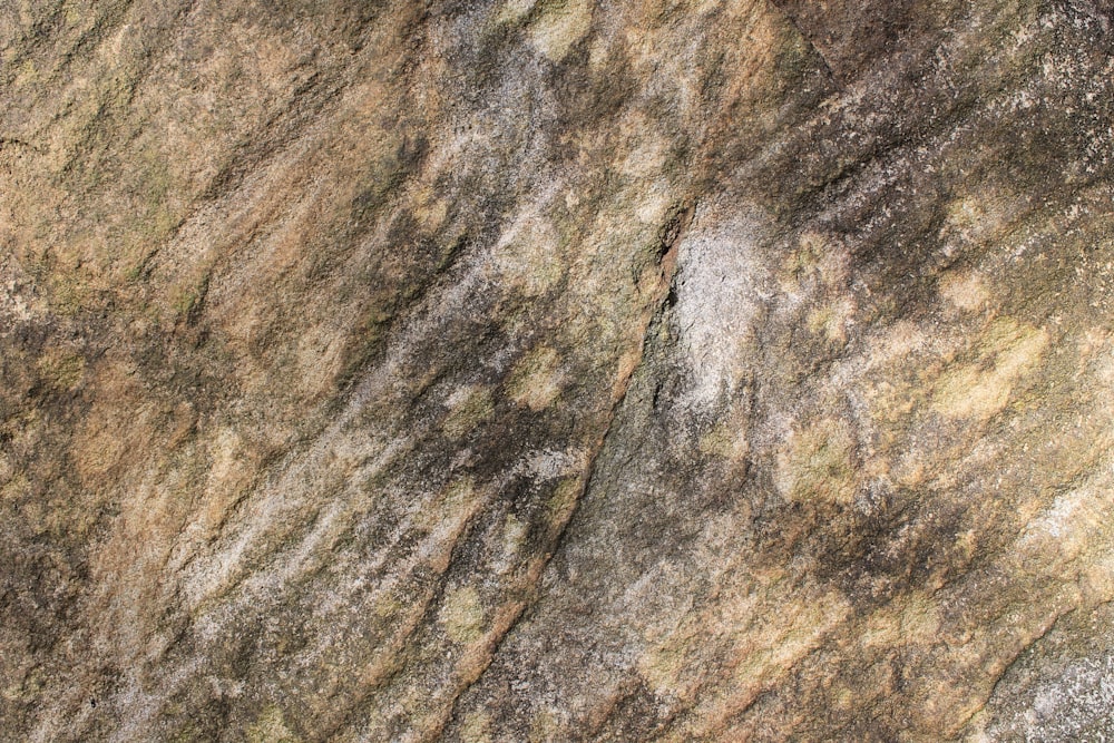 Foto de formación de roca marrón y gris – Imagen gratuita Textura en  Unsplash