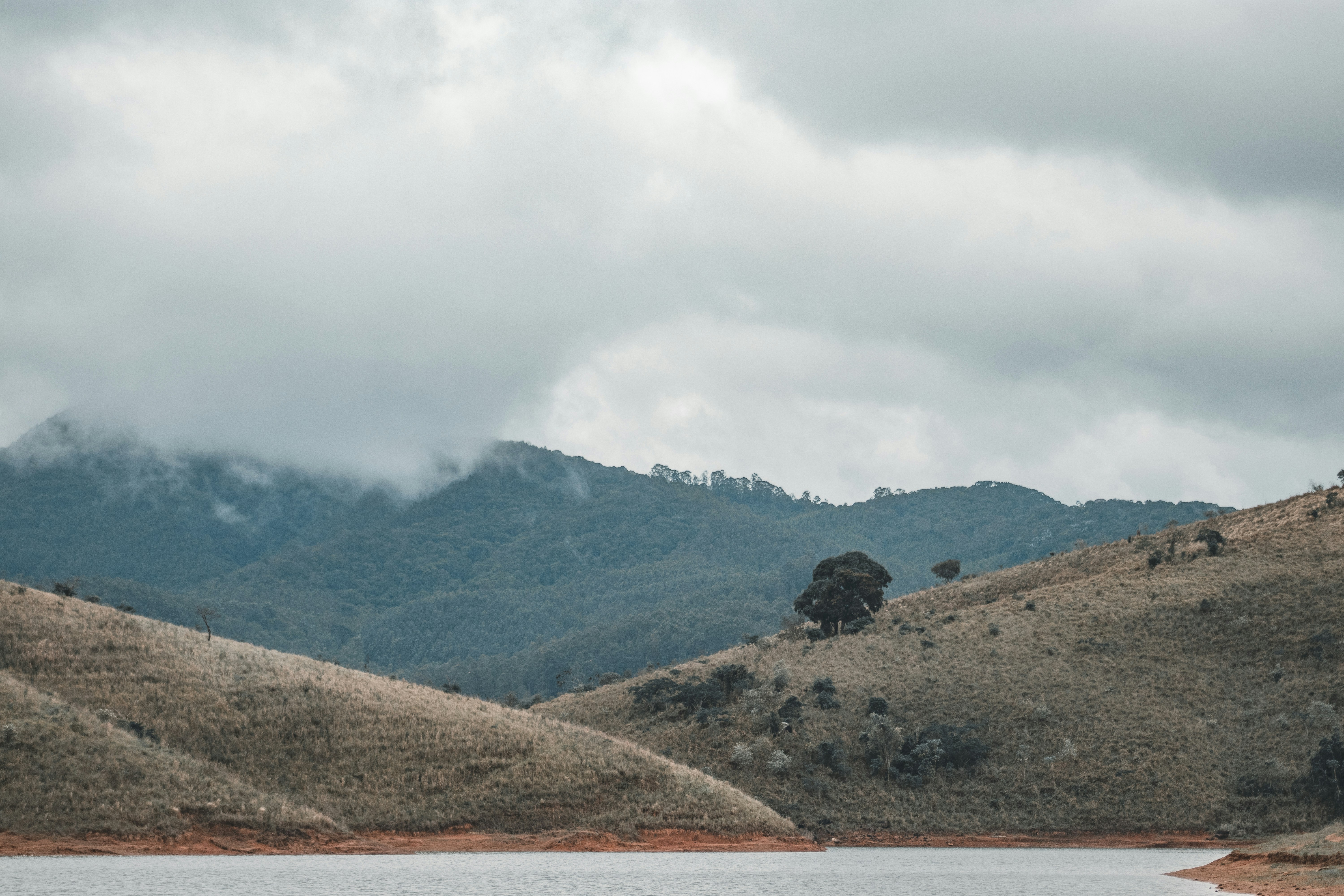 Photo by vitor_camilo