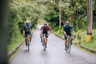 Three cyclists ride along a paved road surrounded by lush greenery. Each wears a helmet and cycling attire, including shorts and jerseys. The atmosphere suggests a light drizzle or recent rain, with the road appearing slightly wet. Tall trees line the path, contributing to a serene, nature-bound setting.