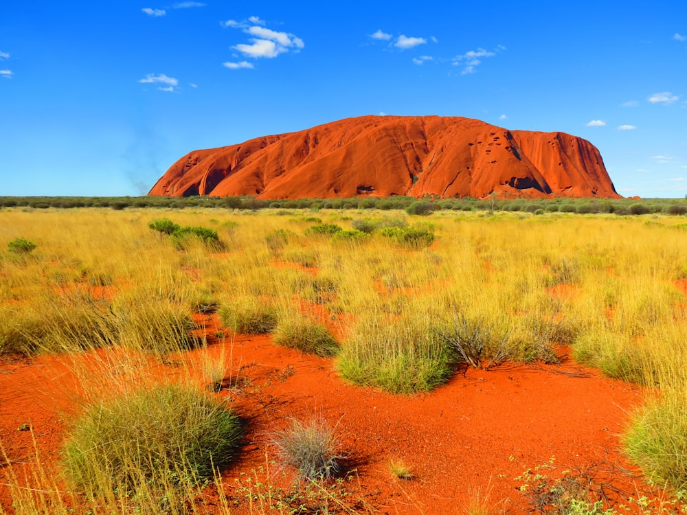 brown mountain under blue sky during daytime