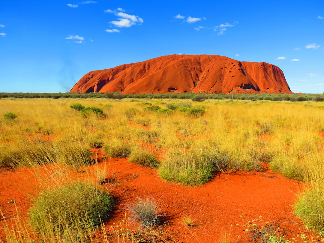 Drag Queens Down Under: Exploring the Outback Filming Locations of… — Drag Queens Down Under