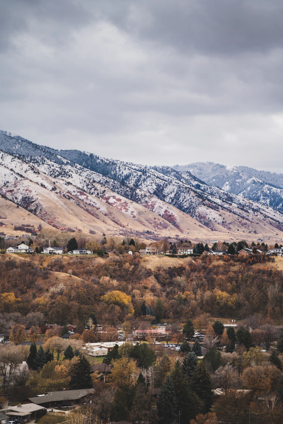 Summer mountain meadow near Spanish Fork