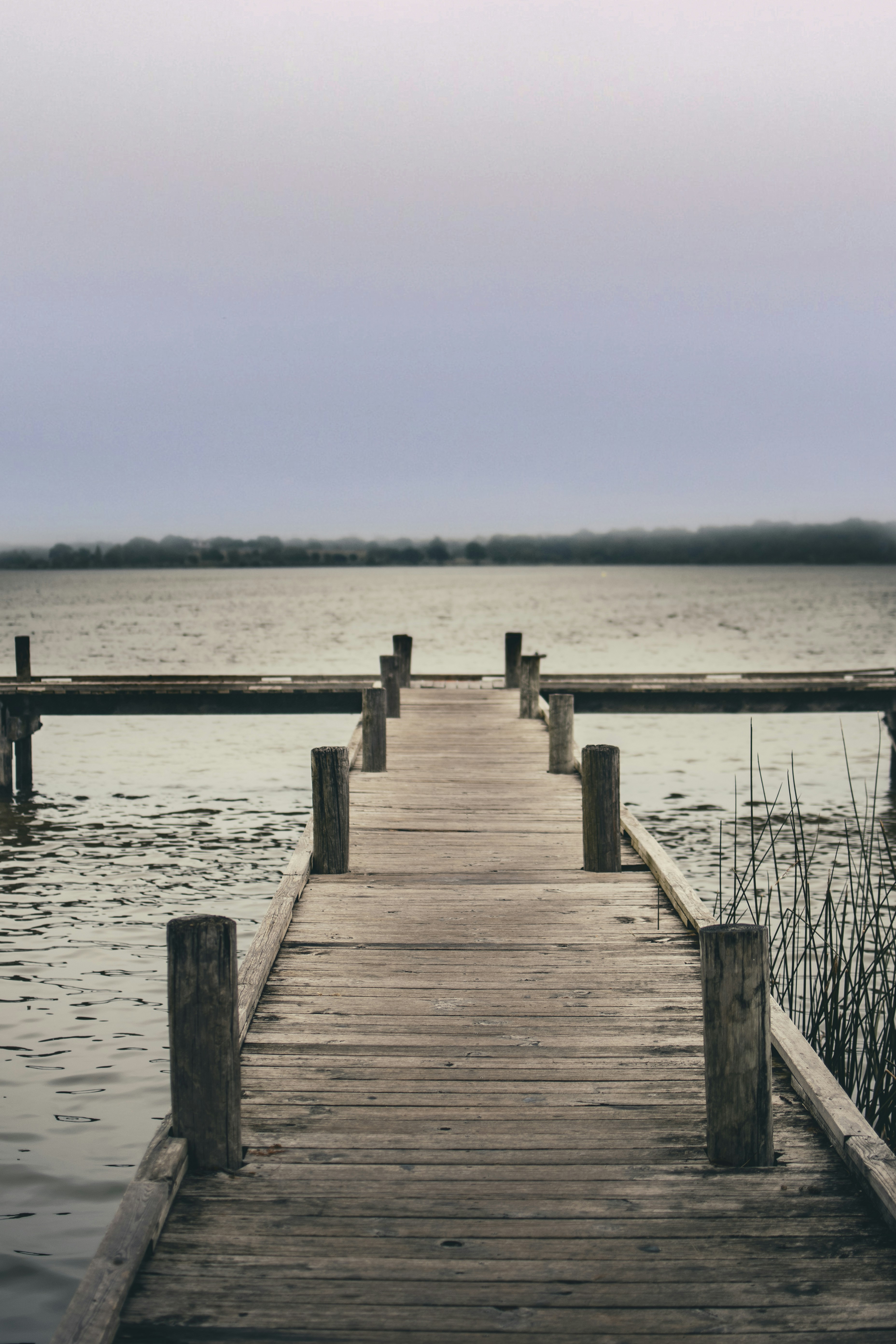 Photo by gabrielrana