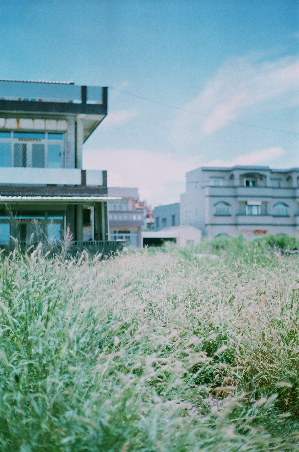 green grass near white concrete building during daytime