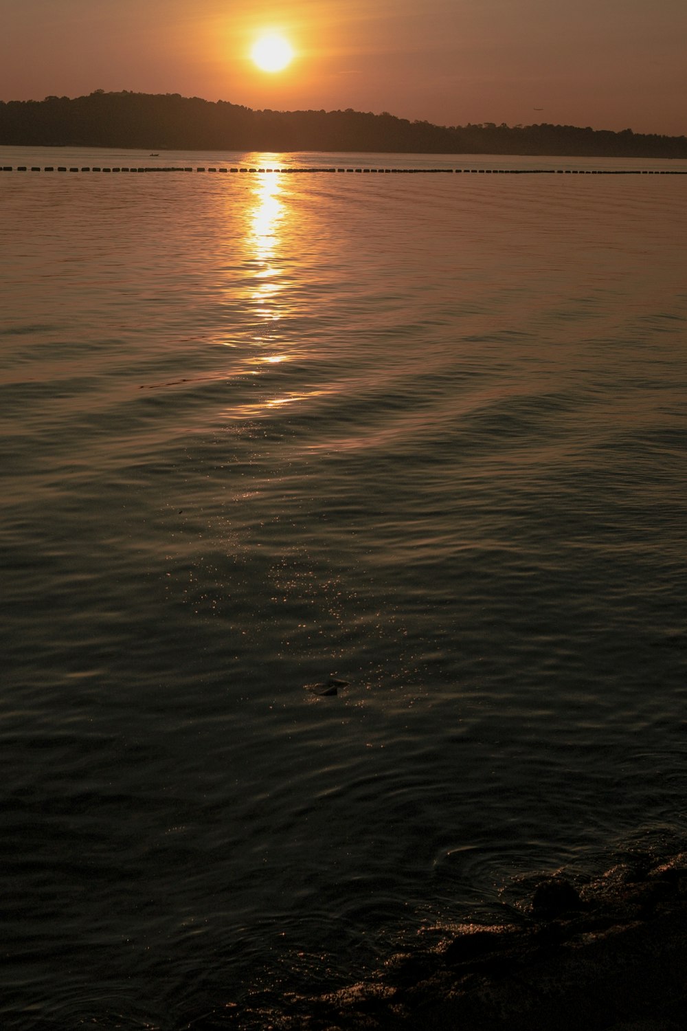 body of water during sunset