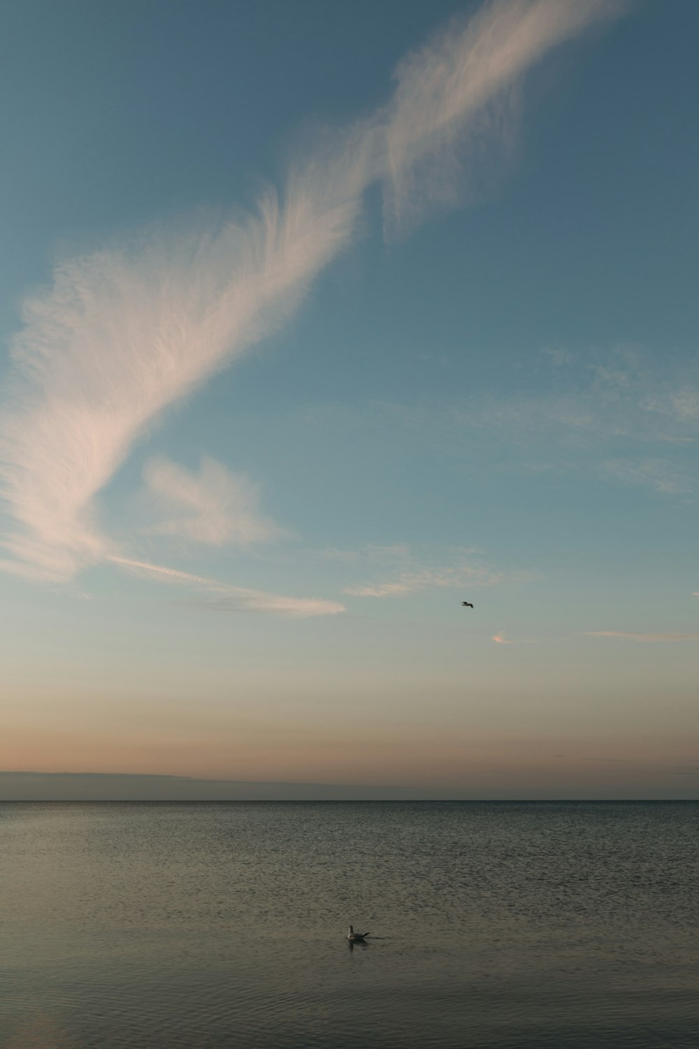 blue sky and white clouds over the sea