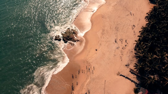 aerial view of people on beach during daytime in Cape Coast Ghana