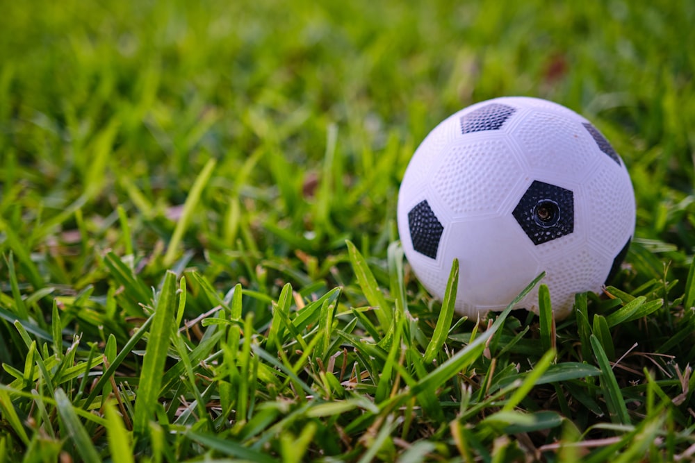 낮 동안 푸른 잔디에 흰색과 검은 색 축구 공